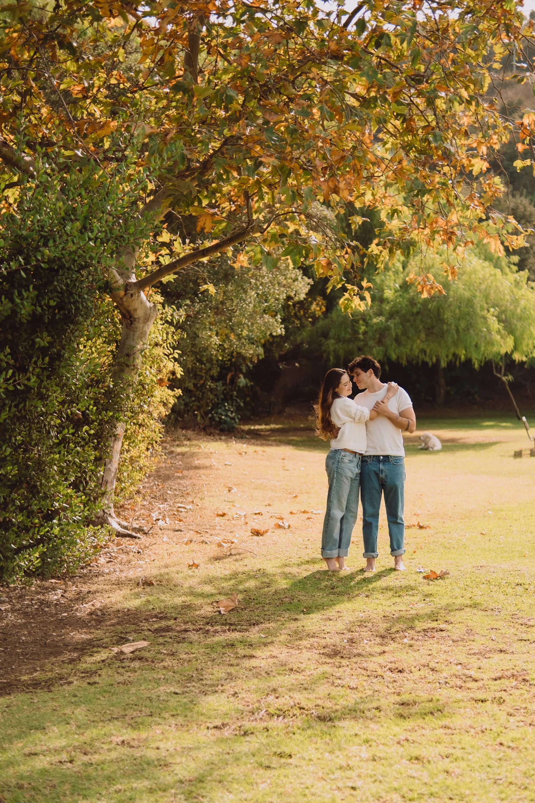 Casamento de Amanda & Gabriel, imagem 15